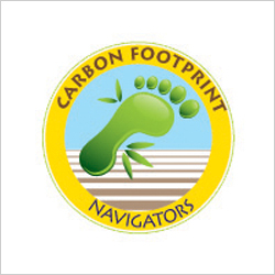 P_carbon