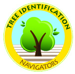 Tree Identification Badge
